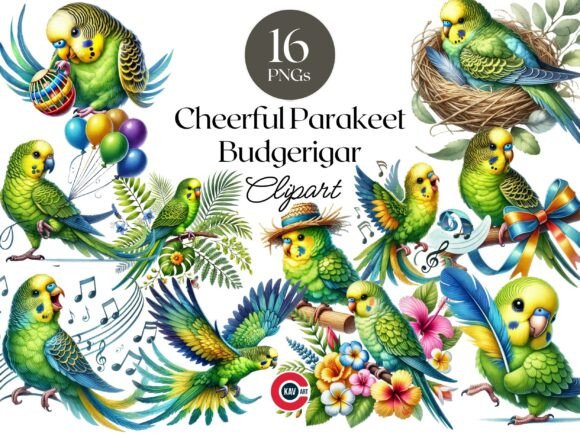Colorful Cute Parakeet Budgerigar Bird