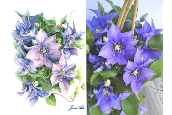 Handmade Watercolor Painting Climatis: A Unique Artistic Expression